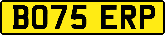 BO75ERP