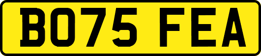 BO75FEA