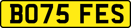 BO75FES