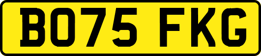 BO75FKG