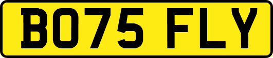BO75FLY