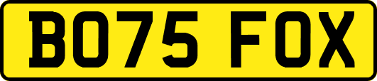 BO75FOX