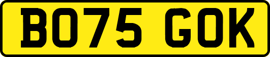 BO75GOK