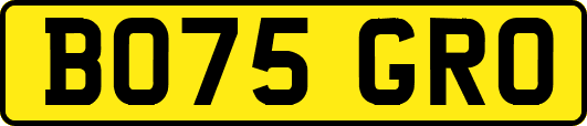 BO75GRO