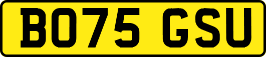 BO75GSU