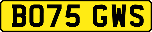 BO75GWS