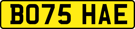 BO75HAE