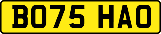 BO75HAO