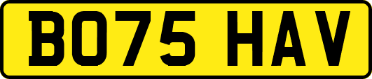BO75HAV