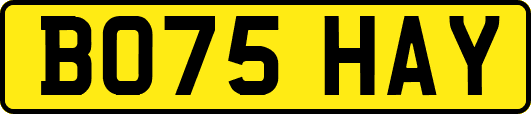 BO75HAY