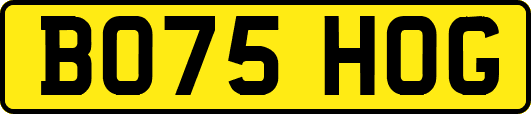BO75HOG