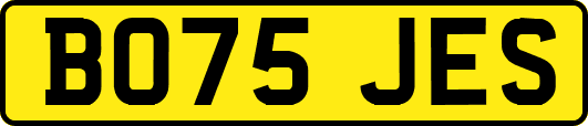 BO75JES