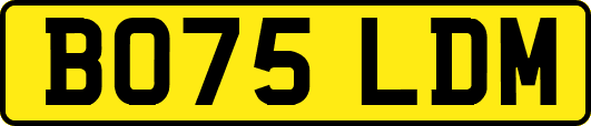 BO75LDM