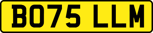 BO75LLM