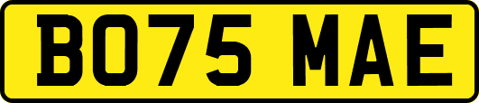 BO75MAE