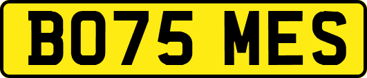 BO75MES