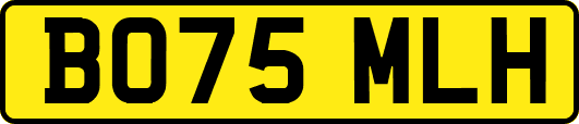 BO75MLH