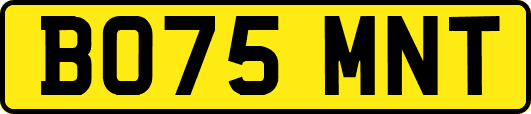 BO75MNT