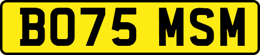 BO75MSM