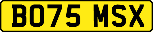 BO75MSX