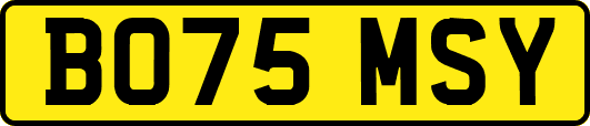 BO75MSY