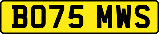 BO75MWS