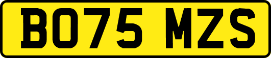 BO75MZS