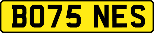 BO75NES