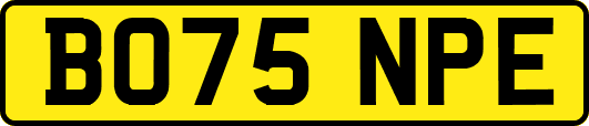 BO75NPE