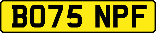 BO75NPF