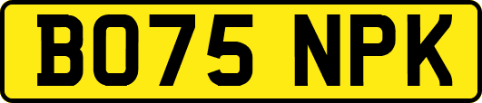 BO75NPK