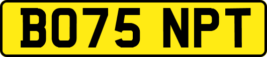 BO75NPT