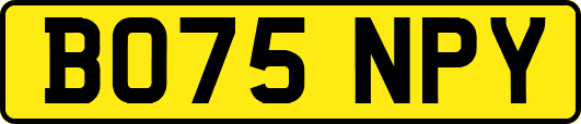 BO75NPY