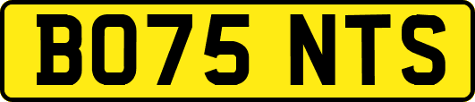 BO75NTS
