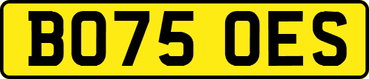 BO75OES