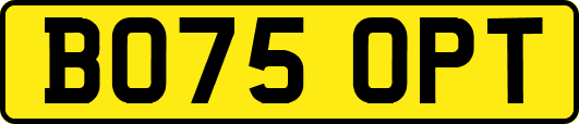 BO75OPT