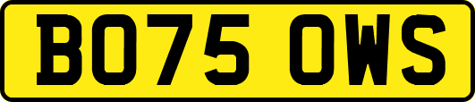 BO75OWS