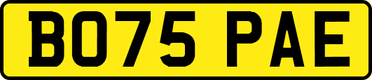 BO75PAE