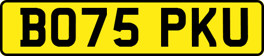 BO75PKU