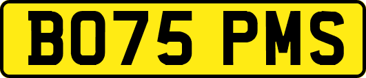 BO75PMS