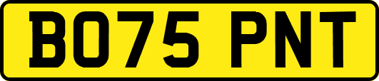 BO75PNT