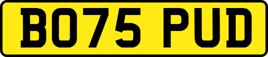 BO75PUD