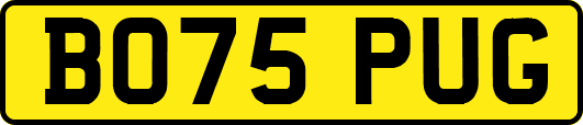 BO75PUG