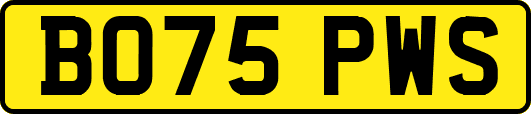 BO75PWS
