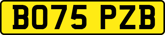 BO75PZB