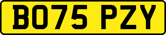 BO75PZY