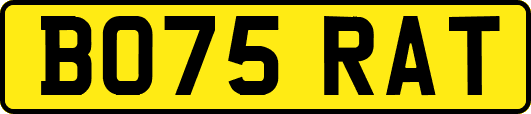 BO75RAT