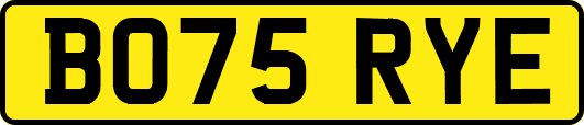 BO75RYE