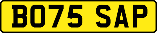 BO75SAP