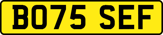 BO75SEF